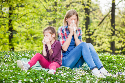 Clear Up Grass Pollen Allergies with Prescription Coverage