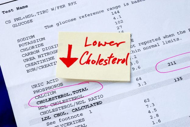 Prevent Heart Issues by Learning More About Cholesterol