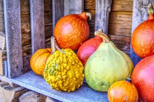 pumpkins and more pumpkins